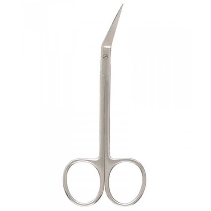 Iris Scissors