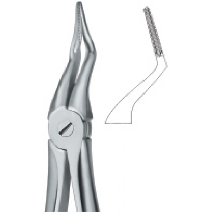 Tooth Ext Forceps