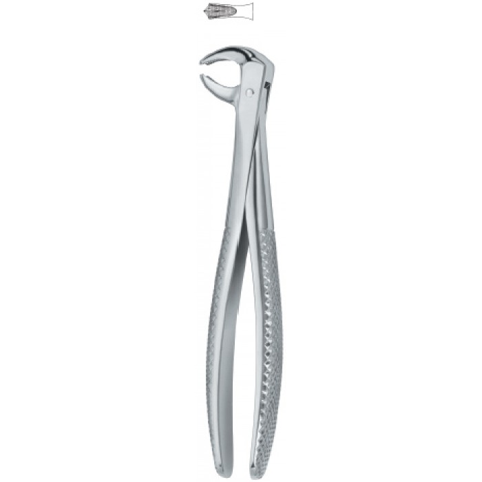 Molars 73