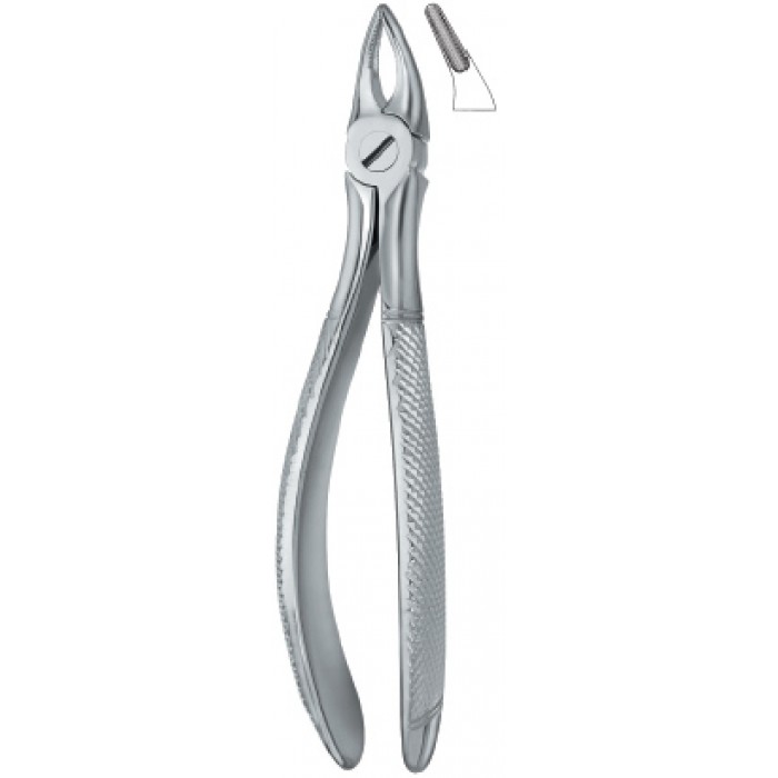 Incisors and Roots 30S