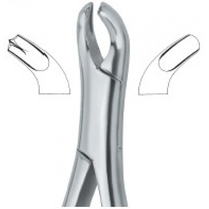 Harris Molars , Right 18R