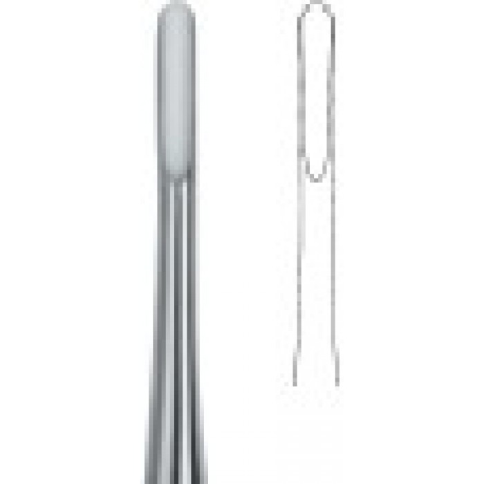 Apical 2