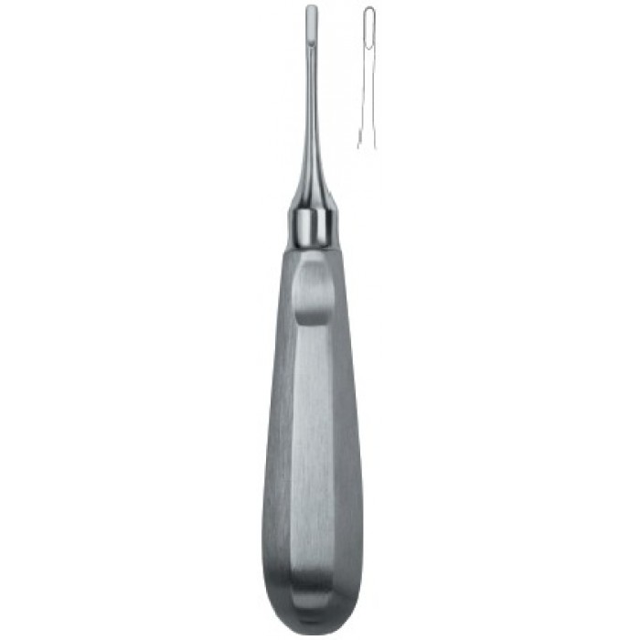 Apical 301
