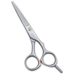 Barber Scissor